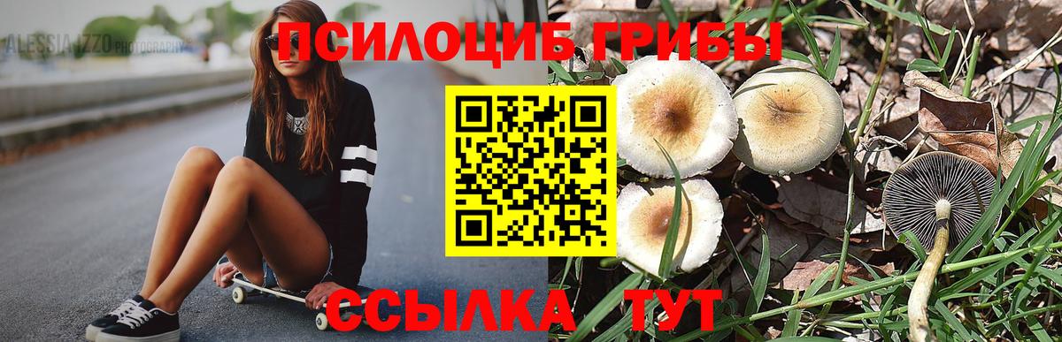 Нефтекумск  Псилоцибиновые грибы GOLDEN TEACHER  Вход с VPN 